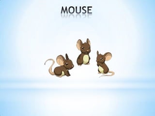 Tic tac toe regular and irregular plurals