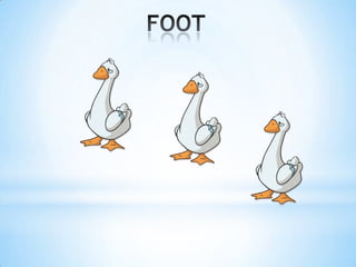 Tic tac toe regular and irregular plurals