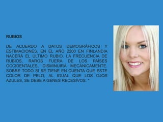 RUBIOS

DE ACUERDO A DATOS DEMOGRÁFICOS Y
ESTIMACIONES, EN EL AÑO 2200 EN FINLANDIA
NACERÁ EL ÚLTIMO RUBIO. LA FRECUENCIA DE
RUBIOS, RAROS FUERA DE LOS PAÍSES
OCCIDENTALES, DISMINUIRÁ MECÁNICAMENTE.
SOBRE TODO SI SE TIENE EN CUENTA QUE ESTE
COLOR DE PELO, AL IGUAL QUE LOS OJOS
AZULES, SE DEBE A GENES RECESIVOS. "
 