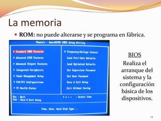 La memoria
  ROM: no puede alterarse y se programa en fábrica.


                                               BIOS
                                            Realiza el
                                           arranque del
                                            sistema y la
                                          configuración
                                           básica de los
                                           dispositivos.


                                                       18
 