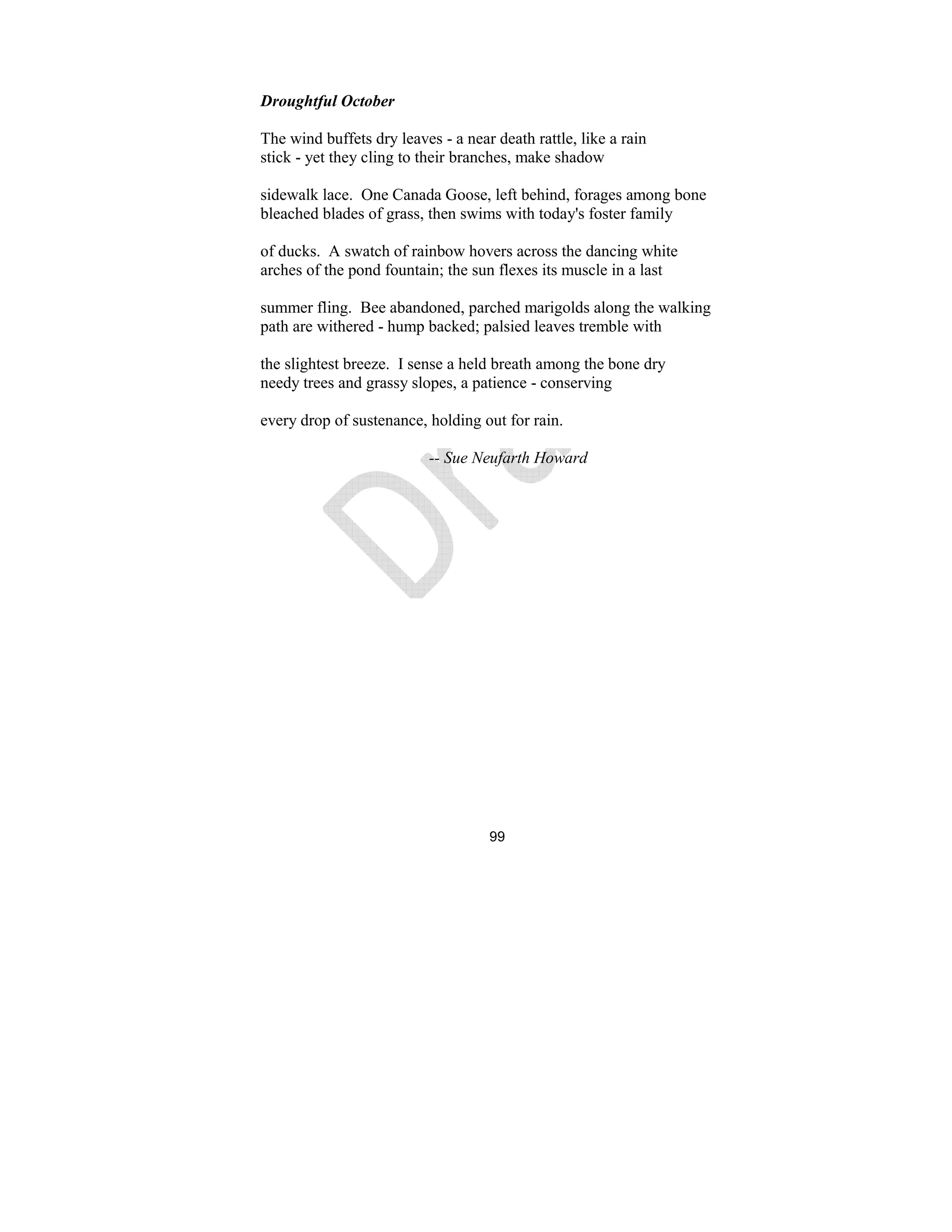 99
Droughtful October
The wind buffets dry leaves - a near death rattle, like a rain
stick - yet they cling to their branches, make shadow
sidewalk lace. One Canada Goose, left behind, forages among bone
bleached blades of grass, then swims with today's foster family
of ducks. A swatch of rainbow hovers across the dancing white
arches of the pond fountain; the sun flexes its muscle in a last
summer fling. Bee abandoned, parched marigolds along the walking
path are withered - hump backed; palsied leaves tremble with
the slightest breeze. I sense a held breath among the bone dry
needy trees and grassy slopes, a patience - conserving
every drop of sustenance, holding out for rain.
-- Sue eufarth Howard
 