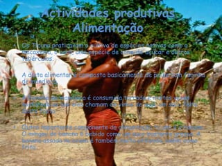Actividades produtivas AlimentaçãoOs Ticuna praticavam o cultivo de espécies nativas como a macaxeira, o cará, uma espécie de cana-de-açúcar e outros tubérculos.A dieta alimentar é composta basicamente de peixe com farinha de mandioca.A farinha de mandioca é consumida torrada e muitas vezes misturada ao que eles chamam de vinho de açaí, um suco feito desta fruta.Outro importante componente da alimentação ticuna é a banana. O mingau de banana é bebido como um suco bastante grosso. A banana assada na brasa é também muito utilizada, assim como frita