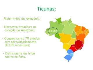 Ticunas:- Maior tribo da Amazónia; - Noroeste brasileiro no coração da Amazónia; - Ocupam cerca 70 aldeias com aproximadamente 20.135 indivíduos;  - Outra parte da tribo habita no Peru.Ticuna