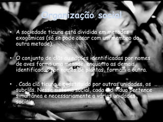 Organização socialA sociedade ticuna está dividida em metades exogâmicas (só se pode casar com um membro da outra metade).O conjunto de clãs ou nações identificadas por nomes de aves forma uma metade, enquanto as demais, identificadas por nomes de plantas, formam a outra.. Cada clã ticuna é constituído por outras unidades, os subclãs. Nesse sistema social, cada indivíduo pertence simultânea e necessariamente a várias unidades sociais 