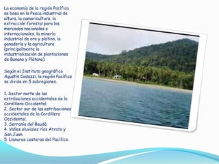 La economía de la región Pacífica
se basa en la Pesca industrial de
altura, la camaricultura, la
extracción forestal para los
mercados nacionales e
internacionales, la minería
industrial de oro y platino, la
ganadería y la agricultura
(principalmente la
industrialización de plantaciones
de Banano y Plátano).
Según el Instituto geográfico
Agustín Codazzi, la región Pacífica
se divide en 5 subregiones.
1. Sector norte de las
estribaciones occidentales de la
Cordillera Occidental.
2. Sector sur de las estribaciones
occidentales de la Cordillera
Occidental.
3. Serranía del Baudó.
4. Valles aluviales ríos Atrato y
San Juan.
5. Llanuras costeras del Pacífico

 