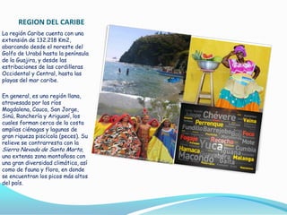 REGION DEL CARIBE
La región Caribe cuenta con una
extensión de 132.218 Km2,
abarcando desde el noreste del
Golfo de Urabá hasta la península
de la Guajira, y desde las
estribaciones de las cordilleras
Occidental y Central, hasta las
playas del mar caribe.
En general, es una región llana,
atravesada por los ríos
Magdalena, Cauca, San Jorge,
Sinú, Ranchería y Ariguaní, los
cuales forman cerca de la costa
amplias ciénagas y lagunas de
gran riqueza piscícola (peces). Su
relieve se contrarresta con la
Sierra Nevada de Santa Marta,
una extensa zona montañosa con
una gran diversidad climática, así
como de fauna y flora, en donde
se encuentran los picos más altos
del país.

 