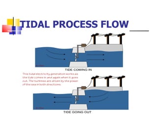 TIDAL PROCESS FLOW 