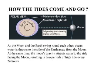 HOW THE TIDES COME AND GO ?
As the Moon and the Earth swing round each other, ocean
water is thrown to the side of the Earth away from the Moon.
At the same time, the moon's gravity attracts water to the side
facing the Moon, resulting in two periods of high tide every
24 hours.
 