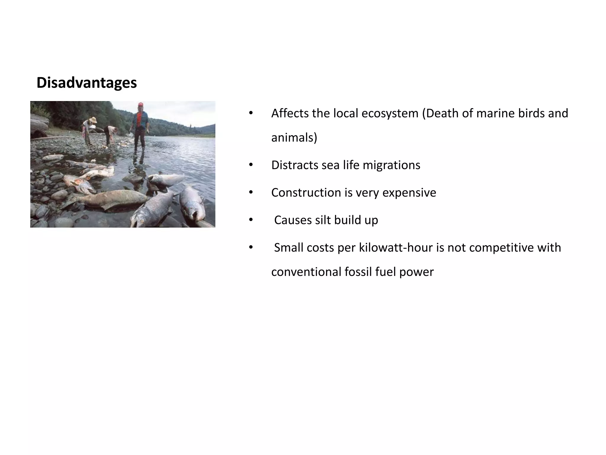 Disadvantages
                •   Affects the local ecosystem (Death of marine birds and
                    animals)

                •   Distracts sea life migrations

                •   Construction is very expensive

                •   Causes silt build up

                •   Small costs per kilowatt-hour is not competitive with
                    conventional fossil fuel power
 