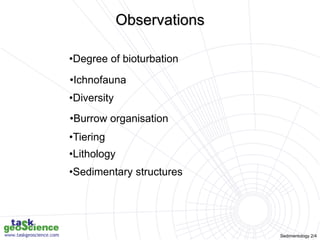 Sedimentology 2/4
•Degree of bioturbation
•Ichnofauna
•Diversity
•Burrow organisation
•Tiering
•Lithology
•Sedimentary structures
Observations
 