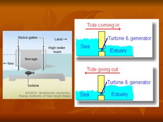 Tidal Energy Diagram For Kids