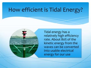 Tidal energy has a
relatively high efficiency
rate. About 80% of the
kinetic energy from the
waves can be converted
into usable electrical
energy for our use
How efficient is Tidal Energy?
 