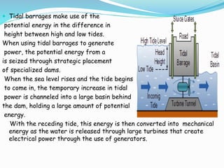  Tidal barrages make use of the 
potential energy in the difference in 
height between high and low tides. 
When using tidal barrages to generate 
power, the potential energy from a 
is seized through strategic placement 
of specialized dams. 
When the sea level rises and the tide begins 
to come in, the temporary increase in tidal 
power is channeled into a large basin behind 
the dam, holding a large amount of potential 
energy. 
With the receding tide, this energy is then converted into mechanical 
energy as the water is released through large turbines that create 
electrical power through the use of generators. 
 
