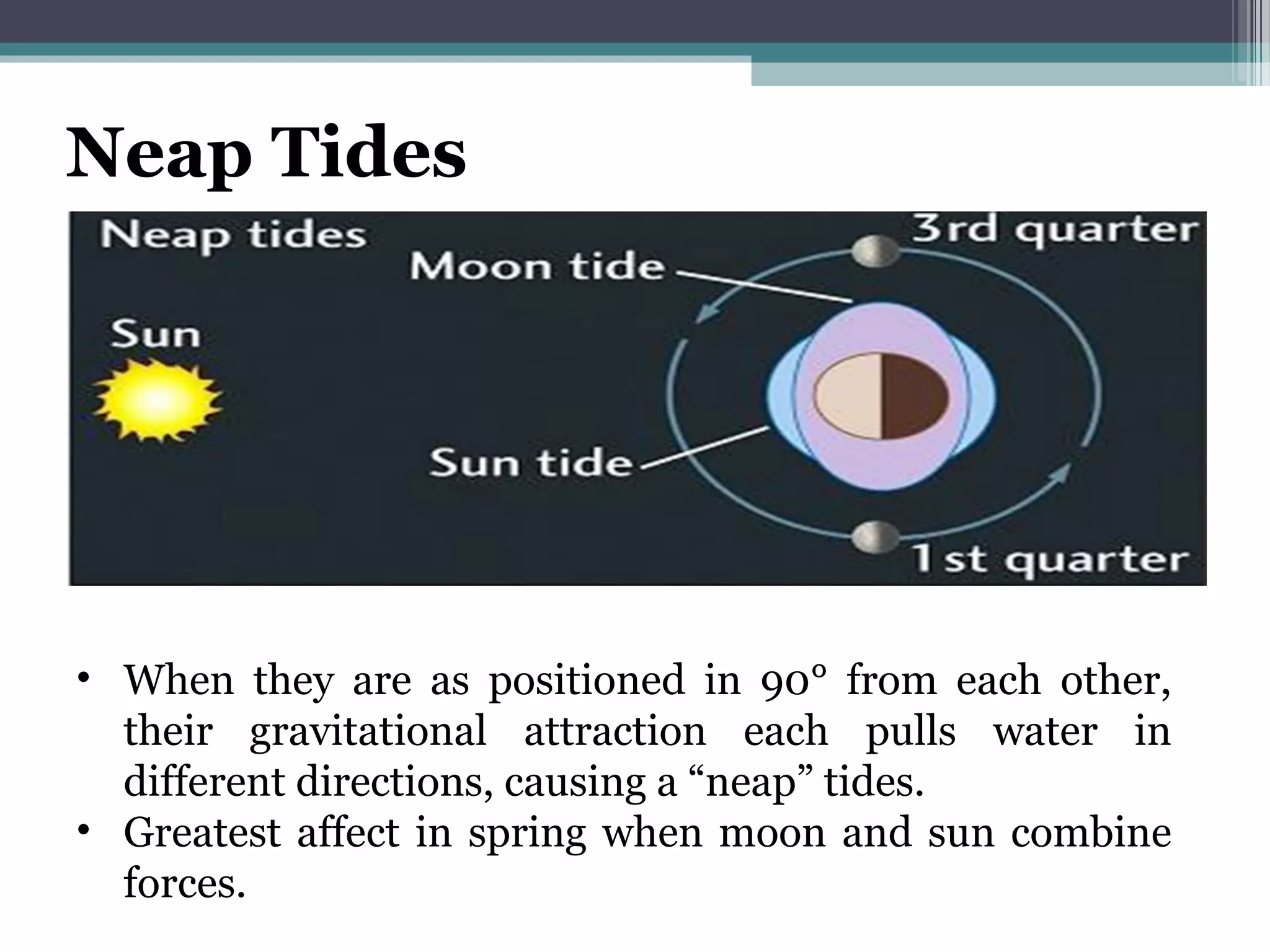 Neap Tides
• When they are as positioned in 90° from each other,
their gravitational attraction each pulls water in
different directions, causing a “neap” tides.
• Greatest affect in spring when moon and sun combine
forces.
 