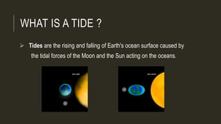 WHAT IS A TIDE ?
 Tides are the rising and falling of Earth's ocean surface caused by
the tidal forces of the Moon and the Sun acting on the oceans.
 