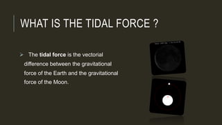 WHAT IS THE TIDAL FORCE ?
 The tidal force is the vectorial
difference between the gravitational
force of the Earth and the gravitational
force of the Moon.
 