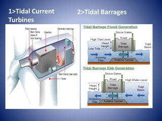 1>Tidal Current
Turbines
2>Tidal Barrages
 