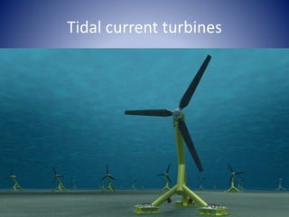 Tidal current turbines
 