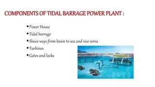COMPONENTS OF TIDAL BARRAGE POWER PLANT :
Power House
Tidal barrage
Sluice ways from basin to sea and vice versa
Turbines
Gates and locks
 
