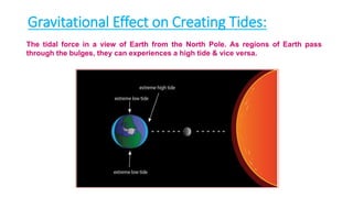Gravitational Effect on Creating Tides:
The tidal force in a view of Earth from the North Pole. As regions of Earth pass
through the bulges, they can experiences a high tide & vice versa.
 