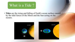 • Tides are the rising and falling of Earth's ocean surface caused
by the tidal forces of the Moon and the Sun acting on the
oceans.
 