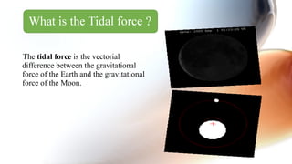 The tidal force is the vectorial
difference between the gravitational
force of the Earth and the gravitational
force of the Moon.
 
