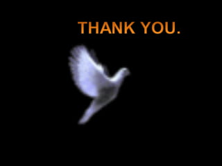 Tidal energy nd thermal pollution