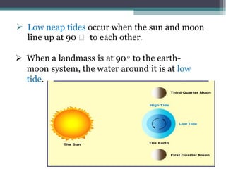  Low neap tides occur when the sun and moon
line up at 90 ͦ to each other.

 