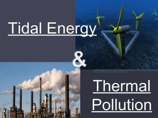 Tidal Energy
Thermal
Pollution

 