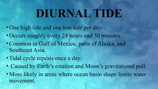 Pertidal TIDAL PATTERNS GHGHBFSHFBSCJBDSFJDDDDDDDDDDDD | PPTX