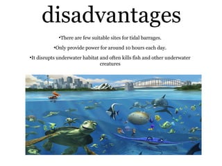 disadvantages
●
There are few suitable sites for tidal barrages.
●
Only provide power for around 10 hours each day.
●
It disrupts underwater habitat and often kills fish and other underwater
creatures
 