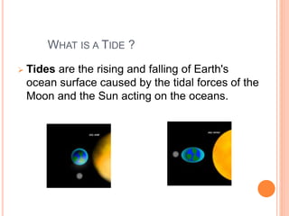 WHAT IS A TIDE ? 
 Tides are the rising and falling of Earth's 
ocean surface caused by the tidal forces of the 
Moon and the Sun acting on the oceans. 
 