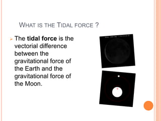 WHAT IS THE TIDAL FORCE ? 
 The tidal force is the 
vectorial difference 
between the 
gravitational force of 
the Earth and the 
gravitational force of 
the Moon. 
 