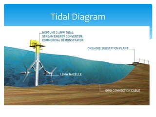 Tidal Diagram