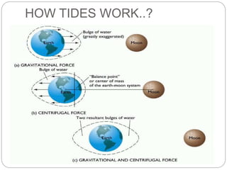 HOW TIDES WORK..?
 
