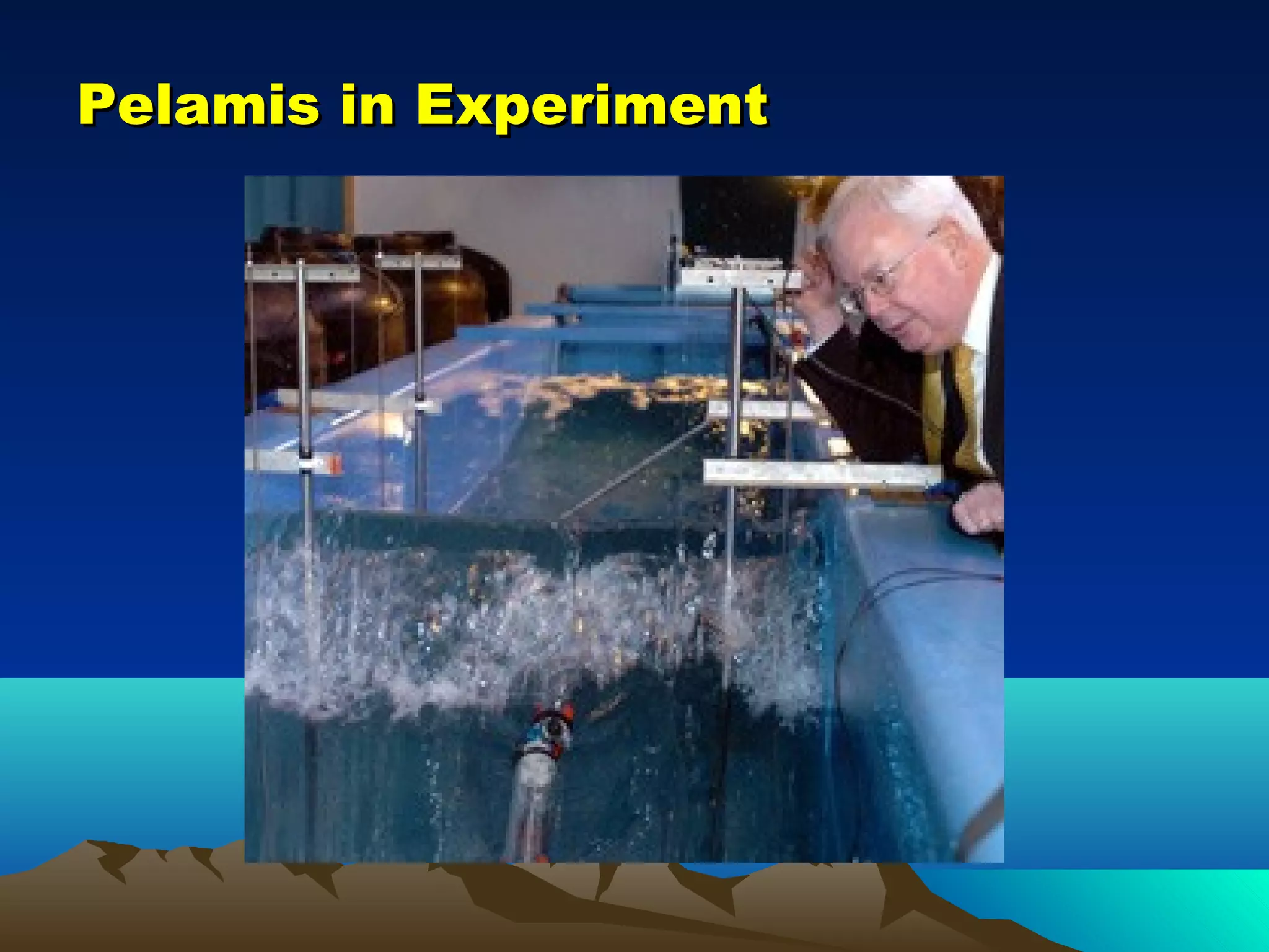 Pelamis in ExperimentPelamis in Experiment
 