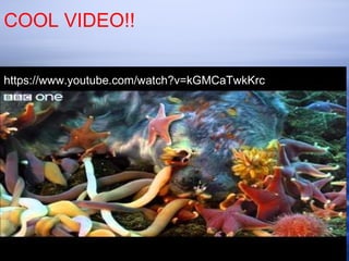 COOL VIDEO!!
https://www.youtube.com/watch?v=kGMCaTwkKrc
 