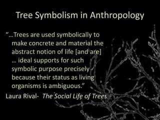Tree Symbolism in Anthropology
“…Trees are used symbolically to
make concrete and material the
abstract notion of life [and are]
… ideal supports for such
symbolic purpose precisely
because their status as living
organisms is ambiguous.”
Laura Rival- The Social Life of Trees
 