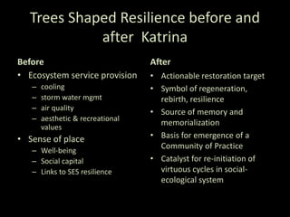 Trees Shaped Resilience before and
after Katrina
Before
• Ecosystem service provision
– cooling
– storm water mgmt
– air quality
– aesthetic & recreational
values
• Sense of place
– Well-being
– Social capital
– Links to SES resilience
After
• Actionable restoration target
• Symbol of regeneration,
rebirth, resilience
• Source of memory and
memorialization
• Basis for emergence of a
Community of Practice
• Catalyst for re-initiation of
virtuous cycles in social-
ecological system
 
