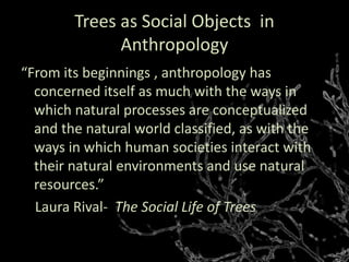 Trees as Social Objects in
Anthropology
“From its beginnings , anthropology has
concerned itself as much with the ways in
which natural processes are conceptualized
and the natural world classified, as with the
ways in which human societies interact with
their natural environments and use natural
resources.”
Laura Rival- The Social Life of Trees
 