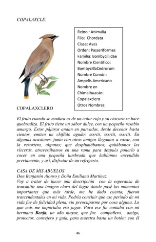 46
COPALAXCLE.
COPALAXCLERO
El fruto cuando se madura es de un color rojo y su cáscara se hace
quebradiza. El fruto tiene un sabor dulce, con un pequeño resabio
amargo. Estos pájaros andan en parvadas, desde decenas hasta
cientos, emiten un chiflido agudo: sssriii, sssriii, sssriii. En
algunas ocasiones, junto con otros amigos llegamos a cazar, con
la resortera, algunos; que desplumábamos, quitábamos las
vísceras, atravesábamos en una rama para después ponerlo a
cocer en una pequeña lumbrada que habíamos encendido
previamente, y así, disfrutar de un refrigerio.
CASA DE MIS ABUELOS
Don Benjamín Alonso y Doña Emiliana Martínez.
Voy a tratar de hacer una descripción con la esperanza de
transmitir una imagen clara del lugar donde pasé los momentos
importantes que más tarde, me he dado cuenta, fueron
trascendentales en mi vida. Podría concluir que ese período de mi
vida fue de felicidad plena, sin preocuparme por cosa alguna. Lo
que más me importaba era jugar. Para ese fin contaba con mi
hermano Benja, un año mayor, que fue compañero, amigo,
protector, consejero y guía, para muestra basta un botón: con él
Reino : Animalia
Filo: Chordata
Clase: Aves
Orden: Passeriformes
Familia: Bombycillidae
Nombre Científico:
BombycillaCedrorum
Nombre Común:
Ampelis Americano
Nombre en
Chimalhuacán:
Copalaxclero
Otros Nombres:
Chivitos o Chinitos
 