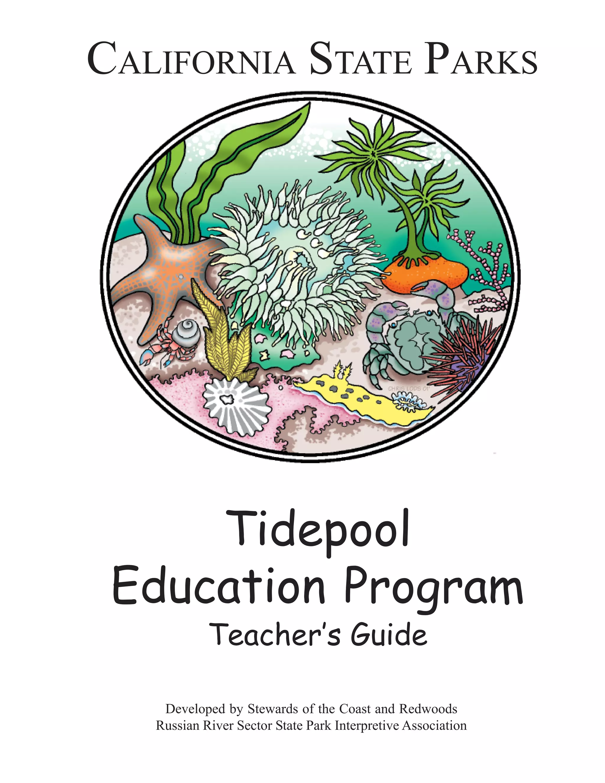 Tidepool teacher's guide | PDF