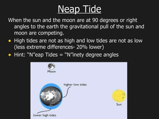 Neap Tide When the sun and the moon are at 90 degrees or right angles to the earth the gravitational pull of the sun and moon are competing.  High tides are not as high and low tides are not as low (less extreme differences- 20% lower) Hint: “N”eap Tides = “N”inety degree angles 