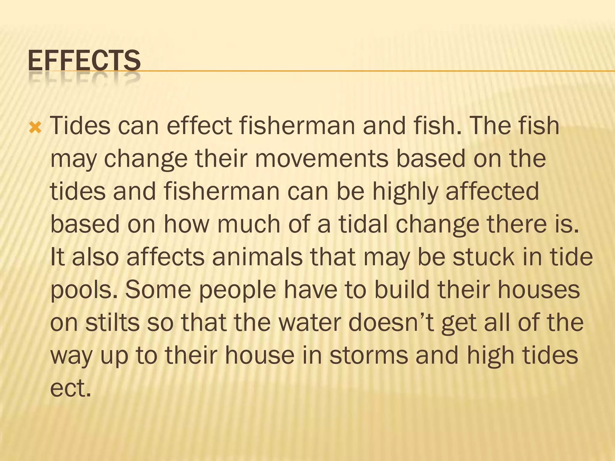EFFECTS

   Tides can effect fisherman and fish. The fish
    may change their movements based on the
    tides and fisherman can be highly affected
    based on how much of a tidal change there is.
    It also affects animals that may be stuck in tide
    pools. Some people have to build their houses
    on stilts so that the water doesn’t get all of the
    way up to their house in storms and high tides
    ect.
 