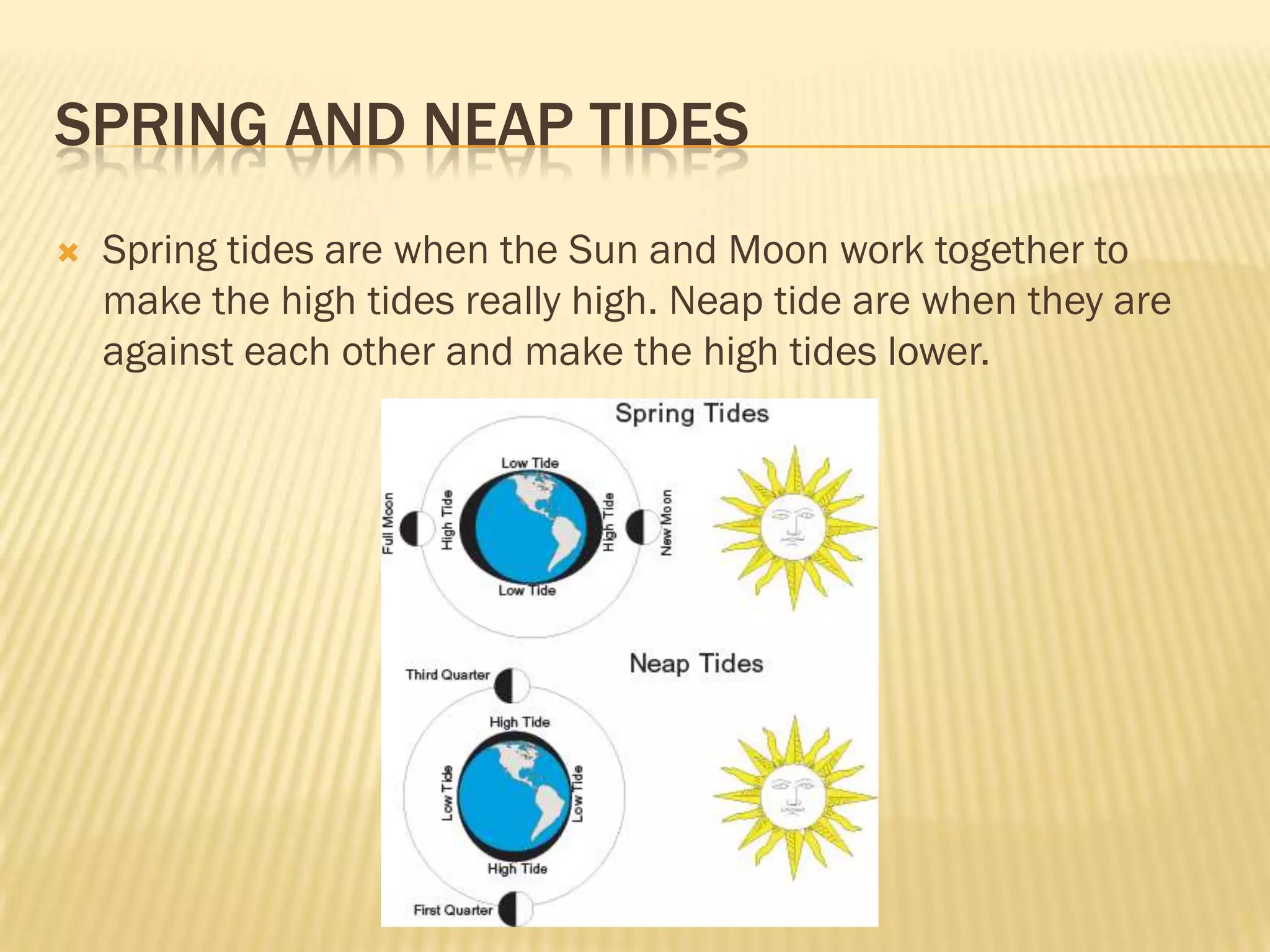 SPRING AND NEAP TIDES
   Spring tides are when the Sun and Moon work together to
    make the high tides really high. Neap tide are when they are
    against each other and make the high tides lower.
 