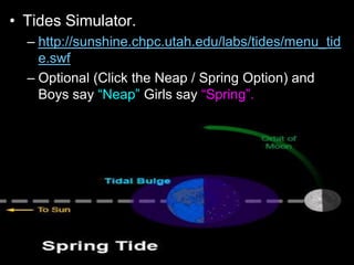• Tides Simulator.
– http://sunshine.chpc.utah.edu/labs/tides/menu_tid
e.swf
– Optional (Click the Neap / Spring Option) and
Boys say “Neap” Girls say “Spring”.
 