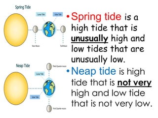 Spring Tide Not Labelled Tides | PPTX