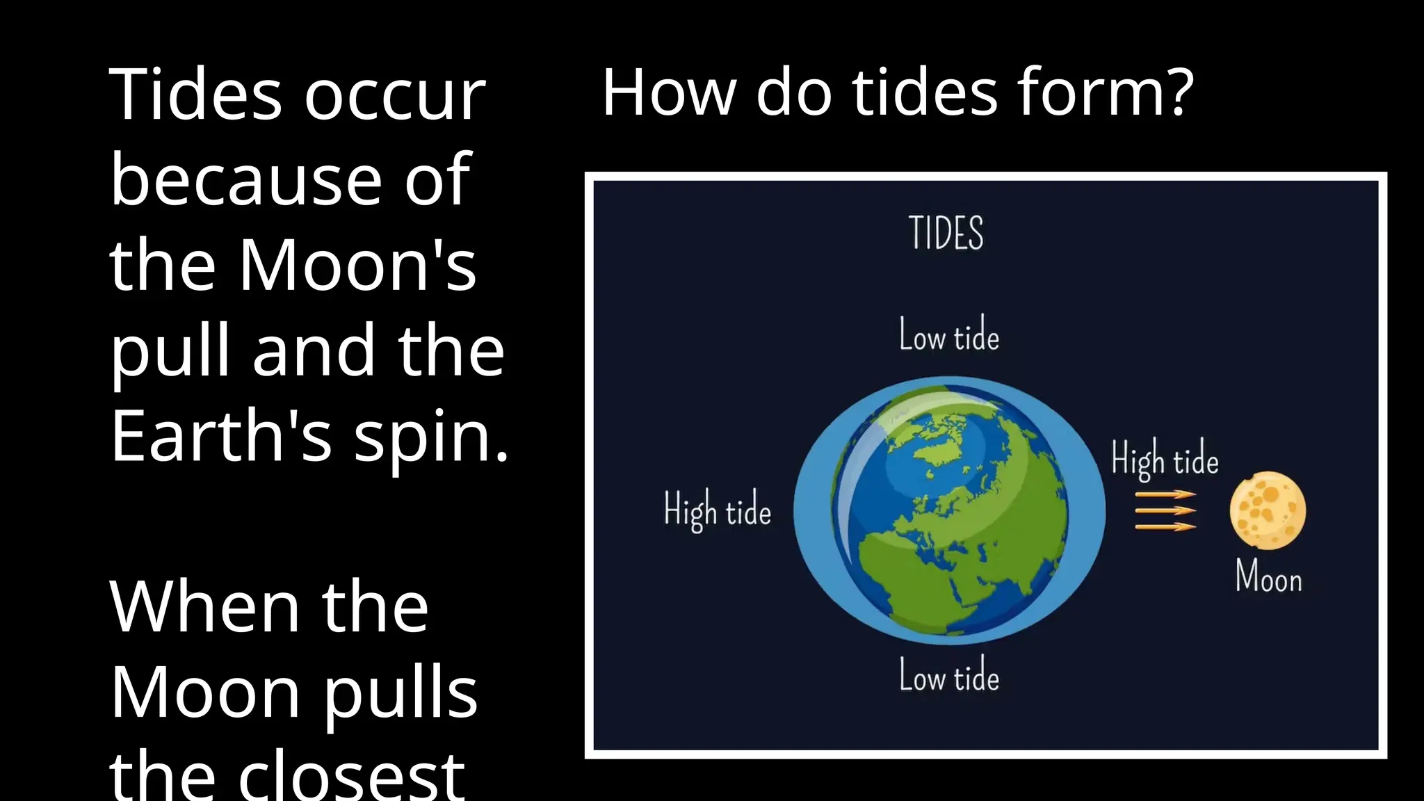 Low tide at Half Moon Bay | Back Yard Biology, image size:2048x1152