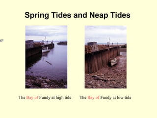 Spring Tides and Neap Tides   The  Bay of  Fundy  at low tide The  Bay of  Fundy  at high tide 