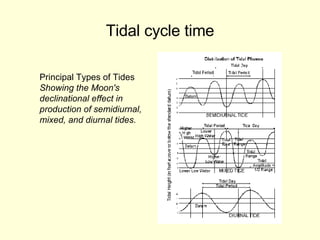 Tidal cycle time Principal Types of Tides  Showing the Moon's  declinational effect in  production of semidiurnal, mixed, and diurnal tides. 